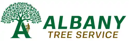 Albany-1-ezgif.com-optiwebp